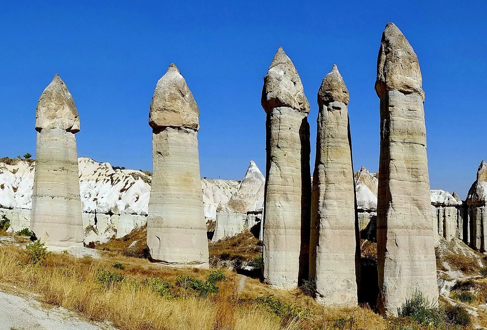 Vadi yürüyüşleri
